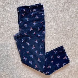 New York & Company Navy Hummingbird Cropped Pants